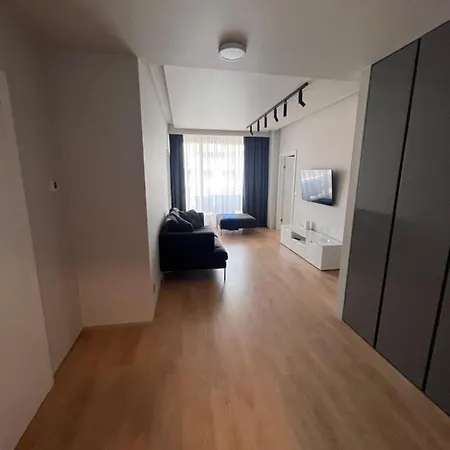 Silver - Ovo -justincenter