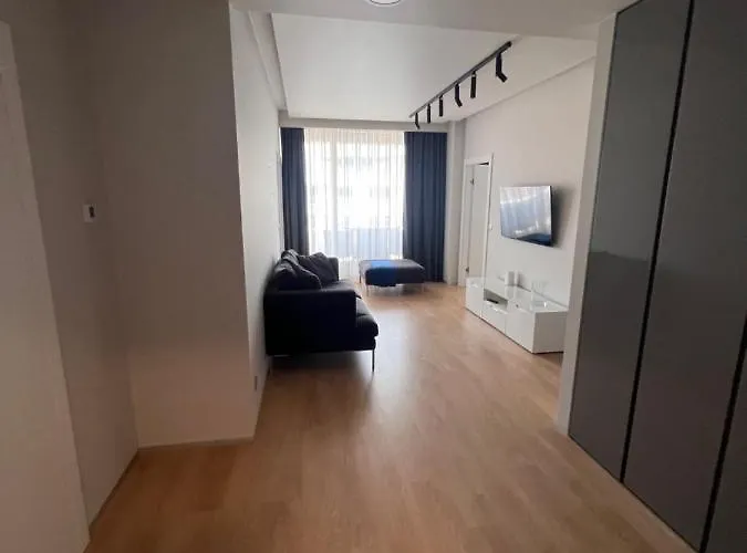 Silver - Ovo -justincenter